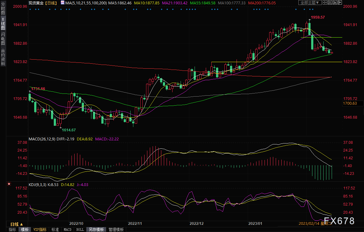 决战美国CPI！金价或迎大涨良机？