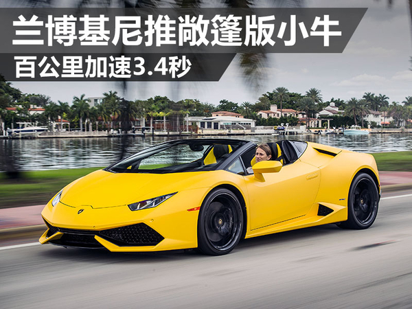 {六合彩}(兰博基尼小牛最便宜的多少钱一辆报价)